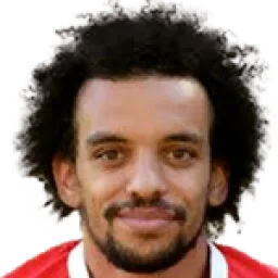 Fábio Santos Martins