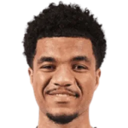 مالك تيلمان