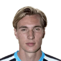 فينسنت فيرمياي