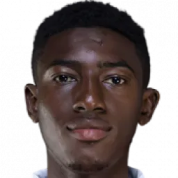 فوديه دوكوري