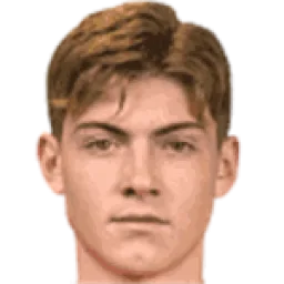 Nikola Čavlina