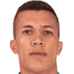 نيلسون ألكسندر ديوسا سواريز