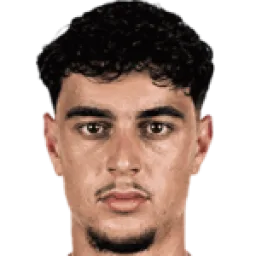 ألكسندر بافلوفيتش