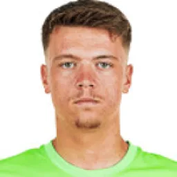 دزينان بيجينوفيتش