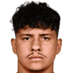 Miguel Carvallho Vianna