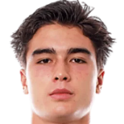 Juan Pablo Goicochea Del Carpio