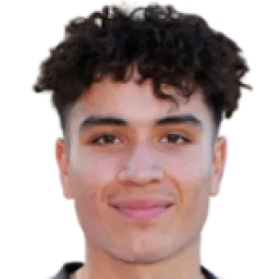 ديفيد أليساندرو ليل كوستا