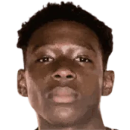 نوردان موكيلي