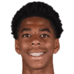 ديان ميثالي