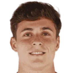 Rodrigo Riquelme Reche