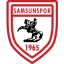 سامسونسبور